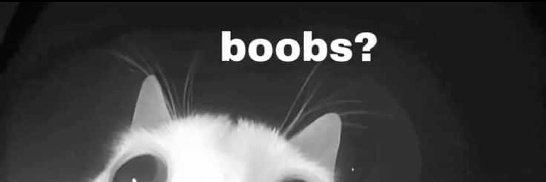 BDSMmaster0321's profile banner image