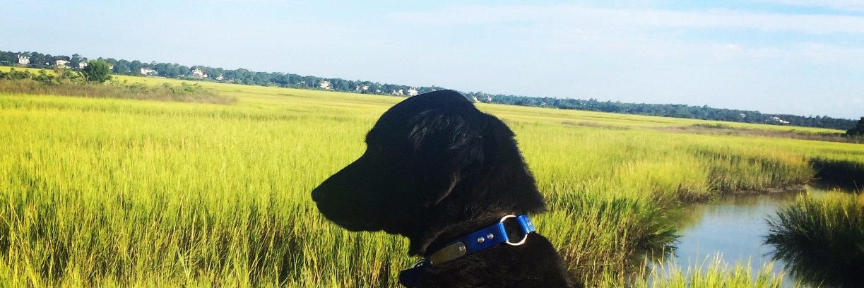 HoceKelly's profile banner image