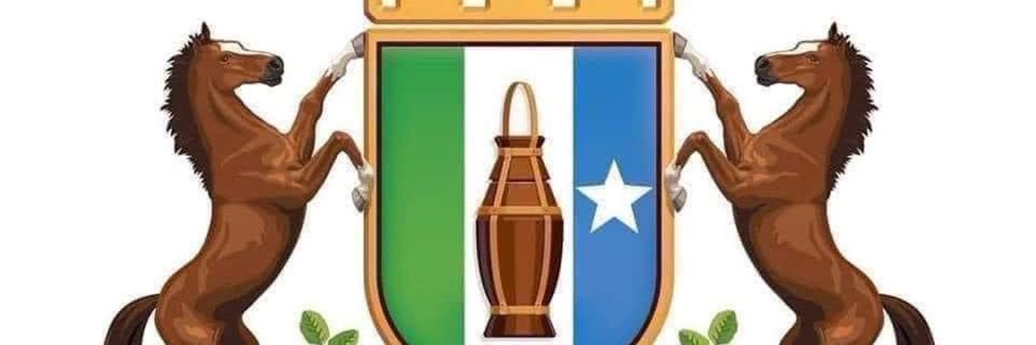 Puntland Republic's banner