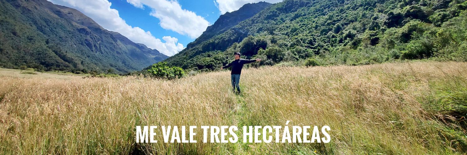 leninbit.eth 😎 𝕏 banner