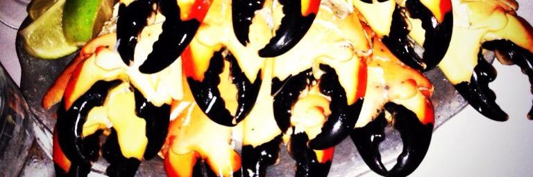 thammel's profile banner image