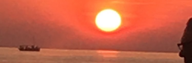 georgiknibb's profile banner image