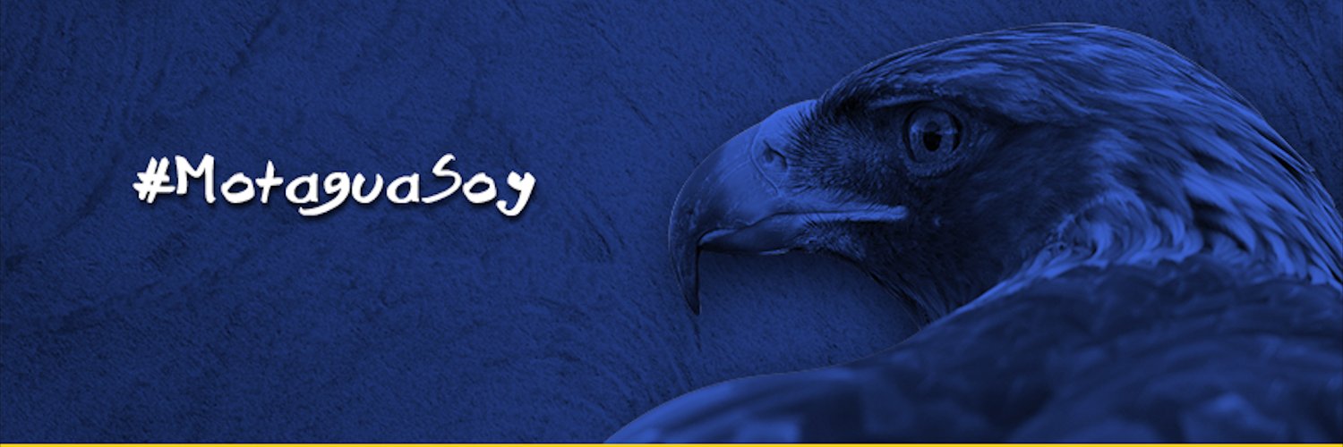 Roberto banner