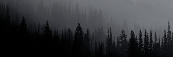 Rashyy26 Profile Banner