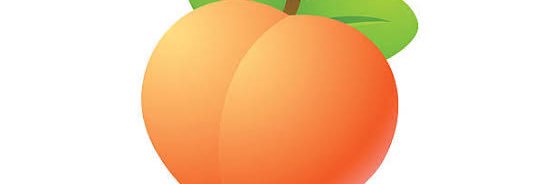 Dashbev's profile banner image