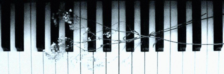 vvxh07's profile banner image