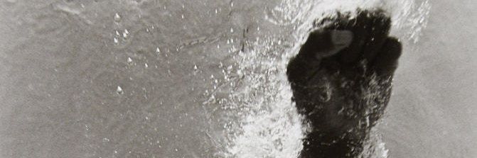 slowanimals's profile banner image