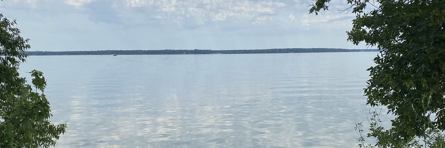 IZEY banner