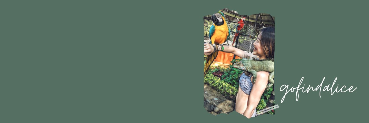 GoFindAlice's profile banner image