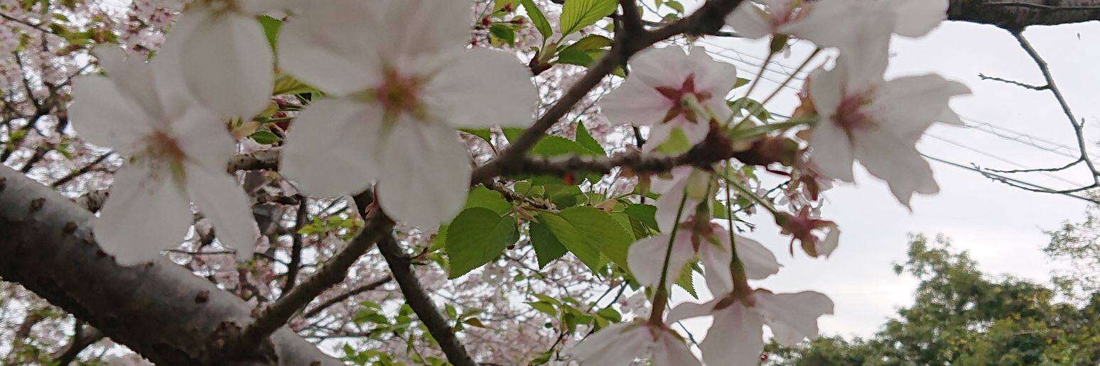 112437's profile banner image