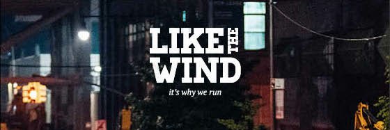 LikeTheWindMag banner