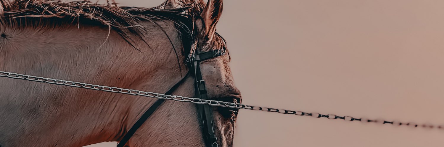 xifii23's profile banner image