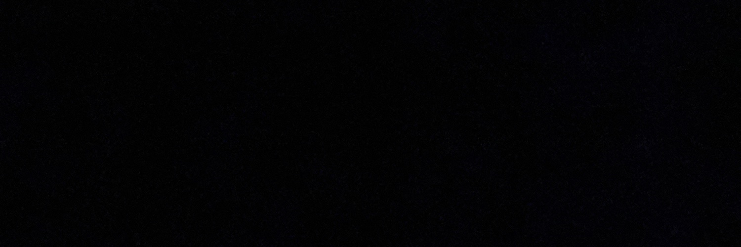 linnnsanity_'s profile banner image