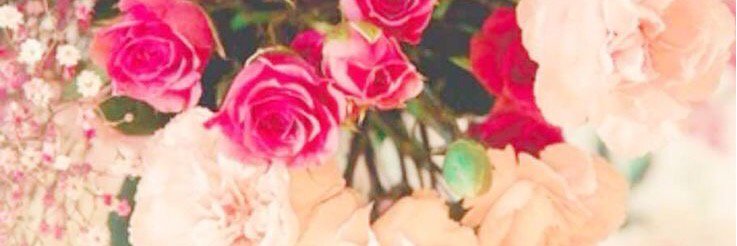 zelisdemirci's profile banner image
