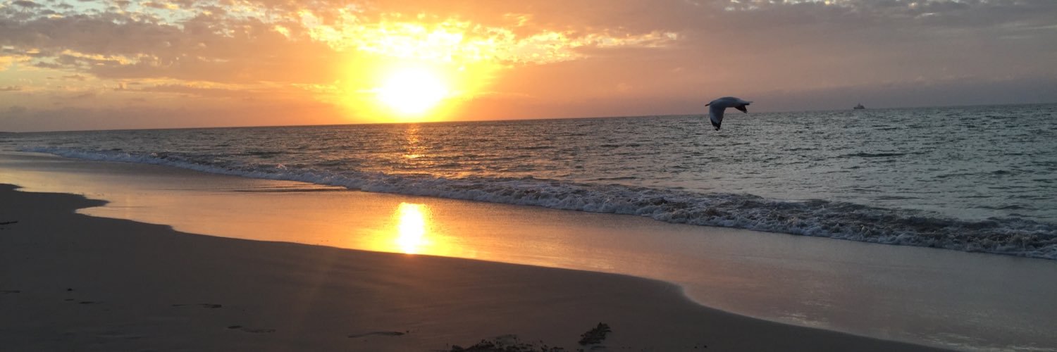 Bethanrees7's profile banner image