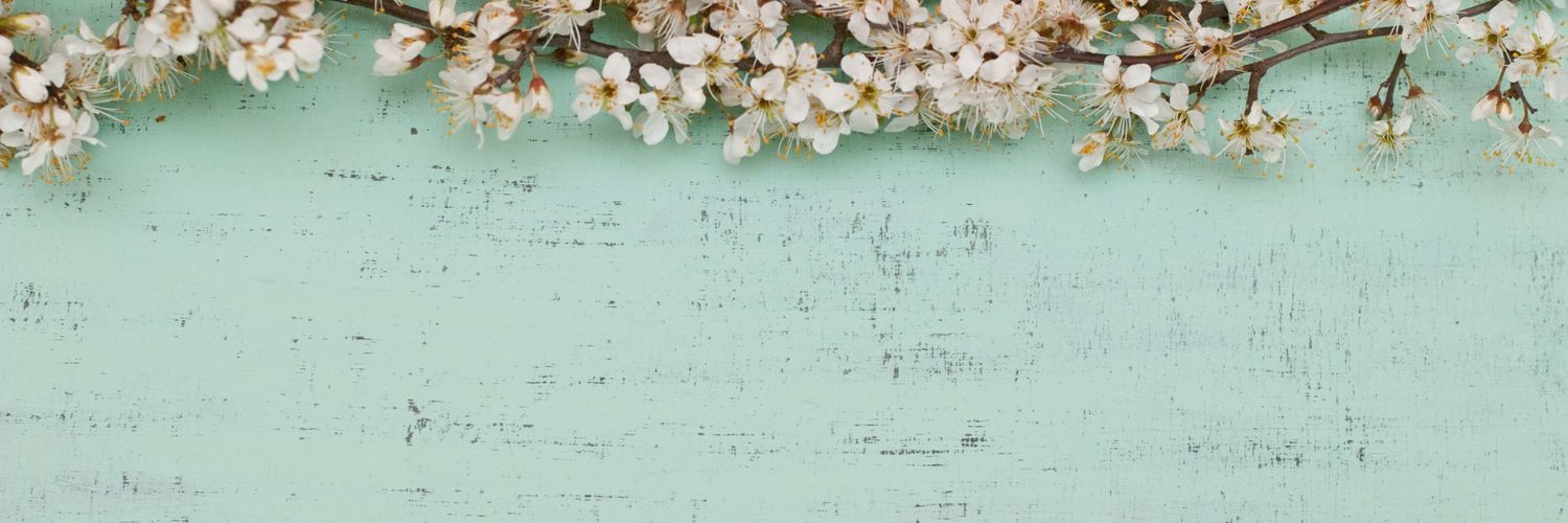 PrisciPou's profile banner image