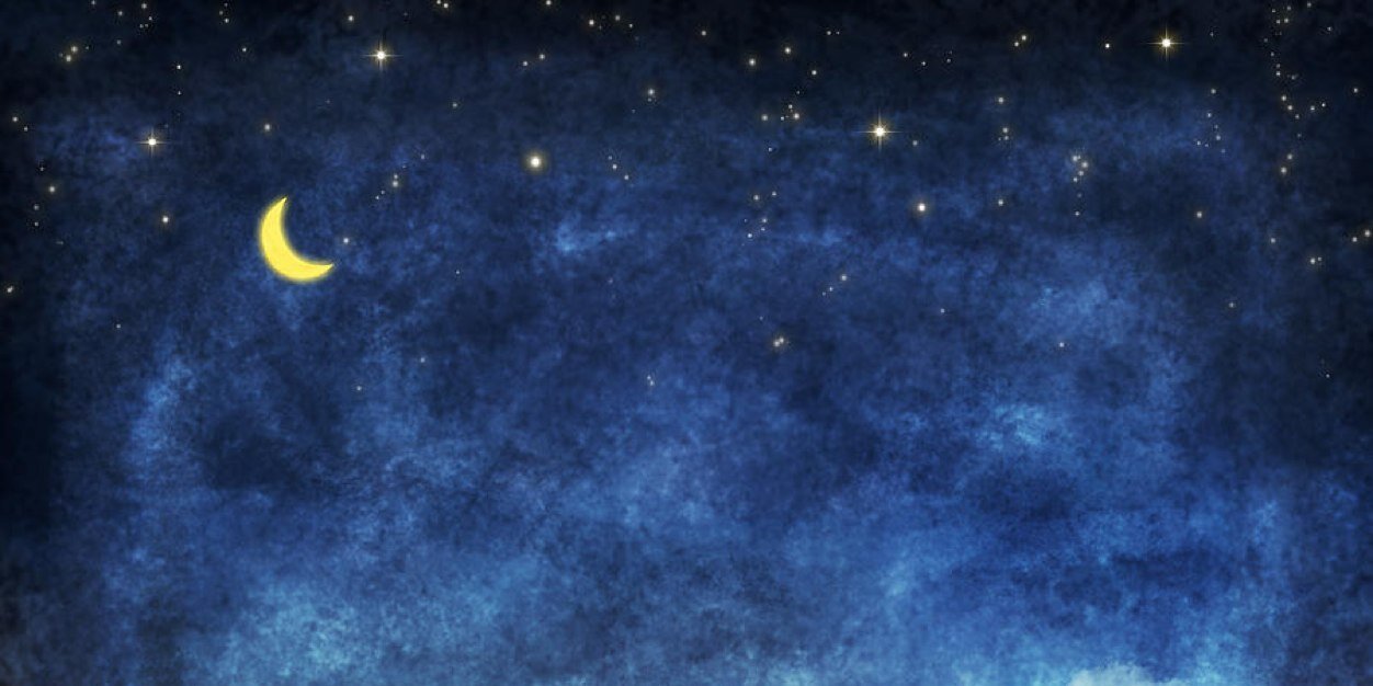 tashadimitri's profile banner image