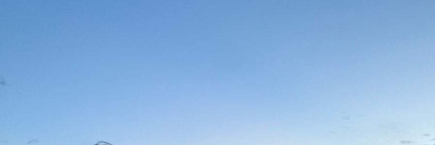 基隆脾氣差ㄟ陈陈❤️‍🔥 banner