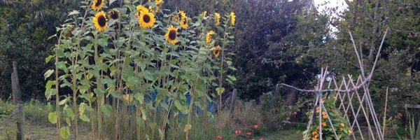 EcoActiveSocial Profile Banner