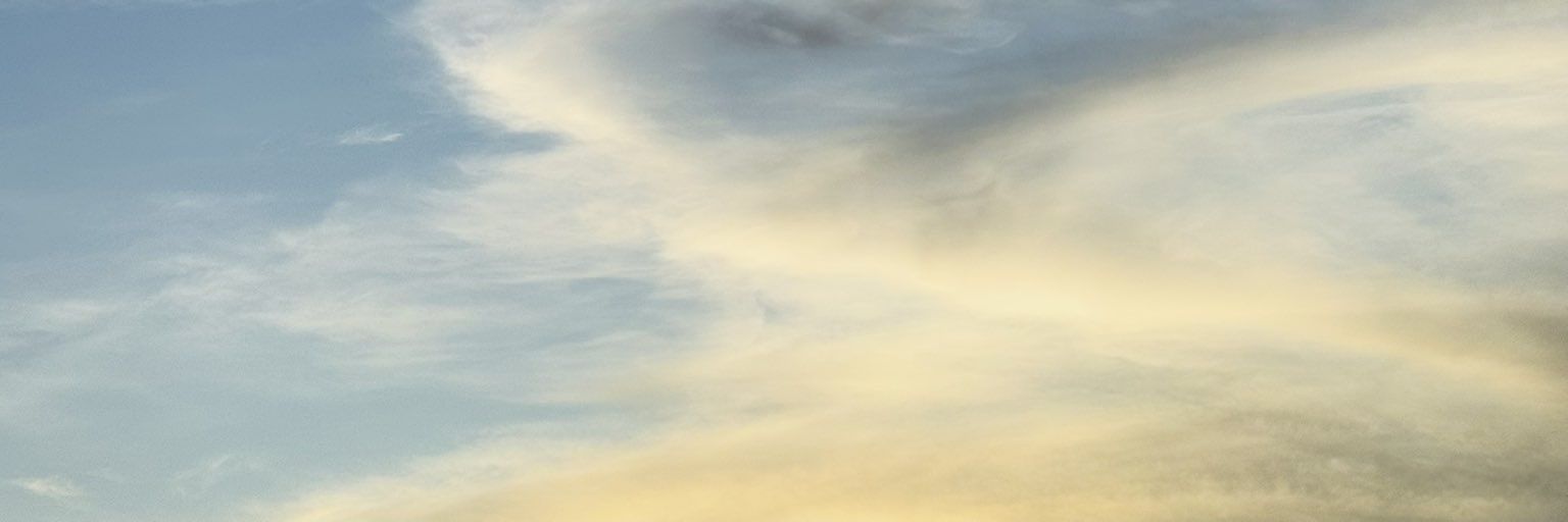 ❤️‍🔥🐼 banner