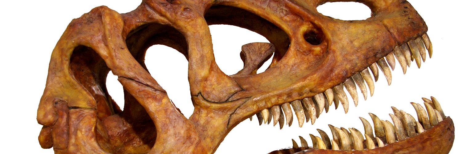 Museo de Dinosaurios's banner
