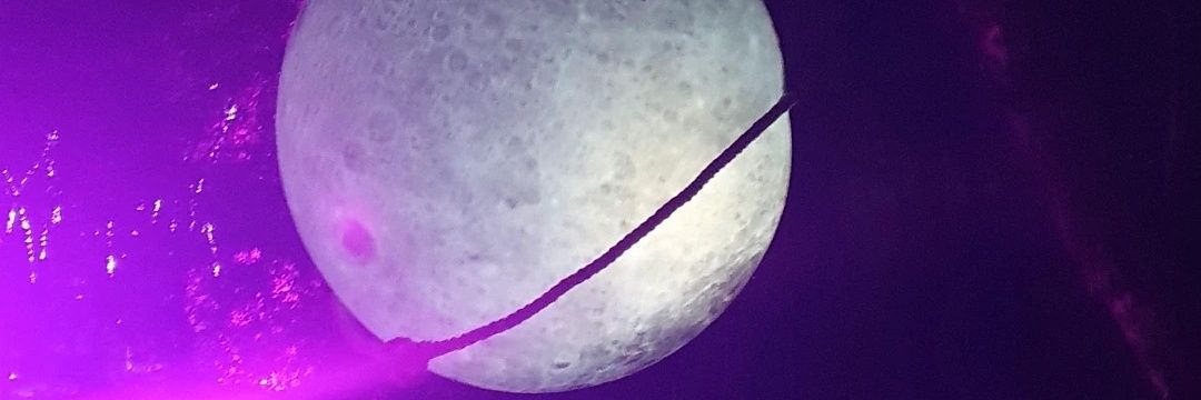 Ton1129511's profile banner image