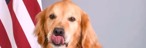 SeaChange33477's profile banner image