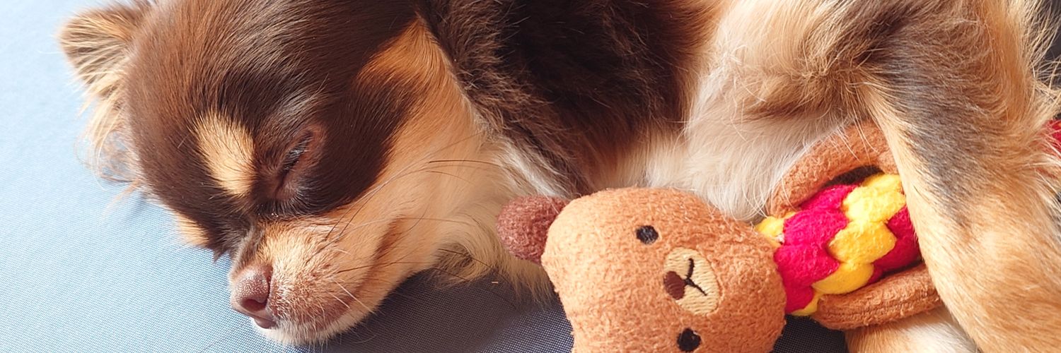 y_rin031000's profile banner image