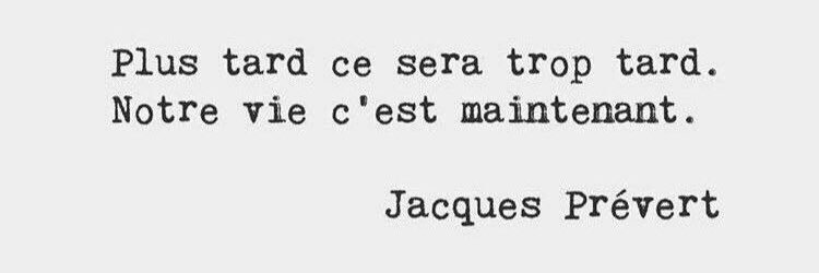 lwelsh 🇺🇦🌻 banner