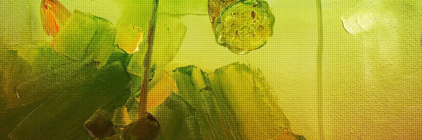 REALHVOG's profile banner image