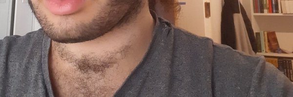 DavidTsamirGal Profile Banner
