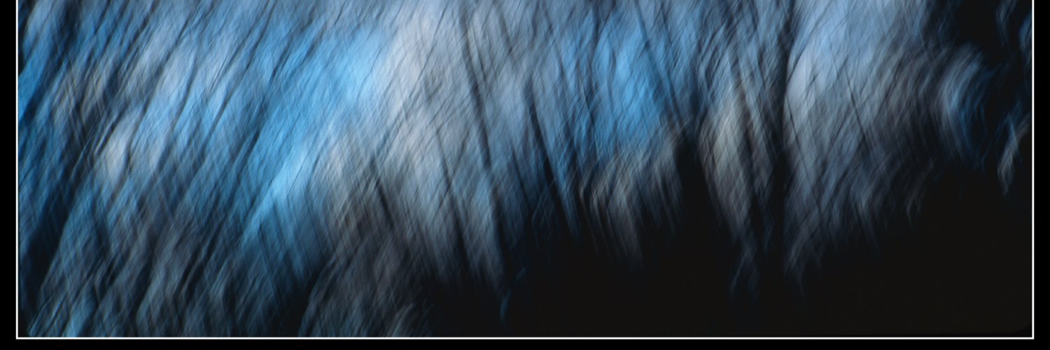 Count De Monet banner