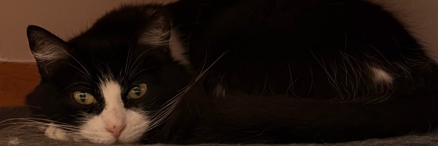 Purple_gurrl's profile banner image