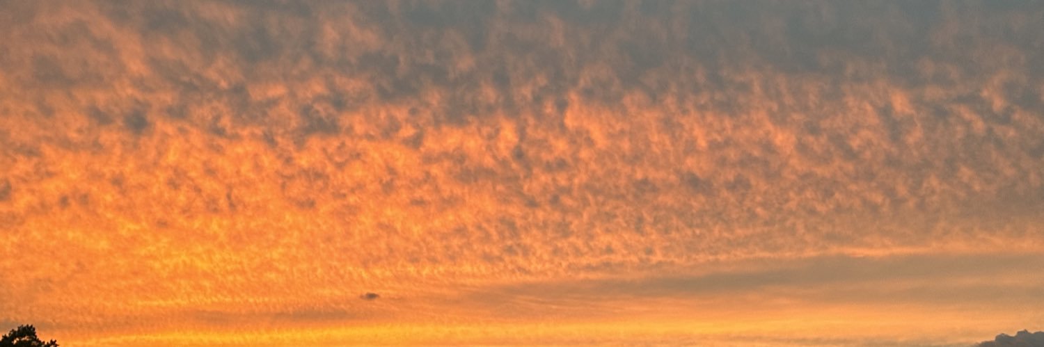 TripThe3rd banner
