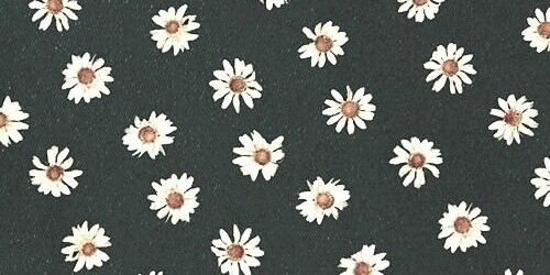 LeonieSmets's profile banner image