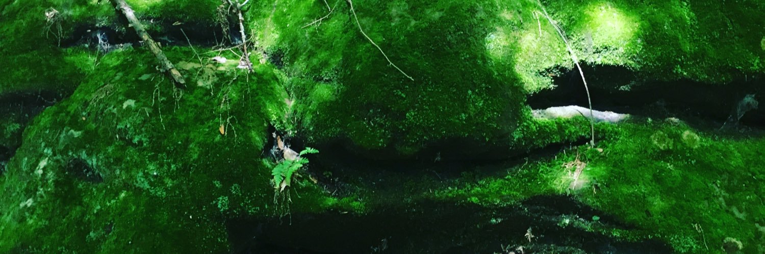 mickmick124's profile banner image