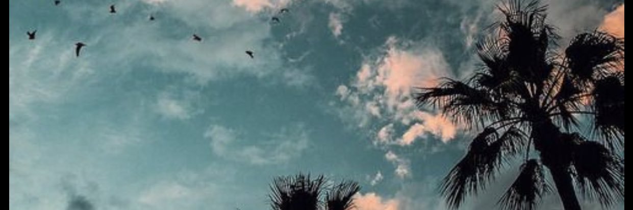 Muurcia16's profile banner image