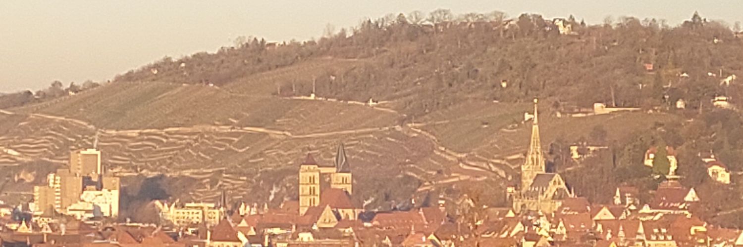 Meryem 🖤🩶💜 banner