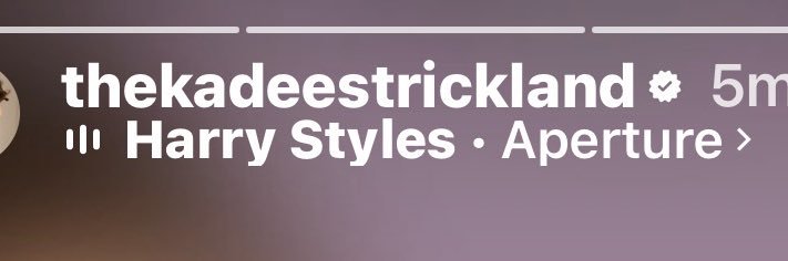 lex , occasionally banner