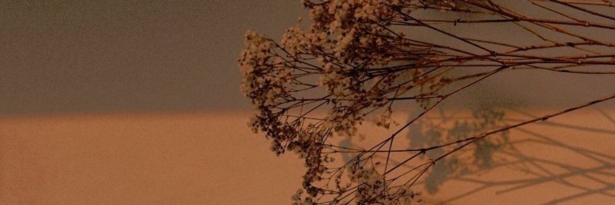 Anabelenrm00's profile banner image