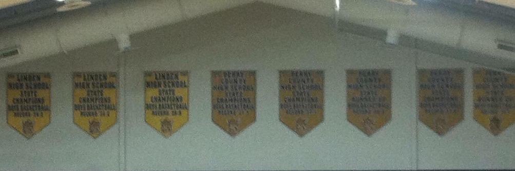 Perry County Vikings Athletics banner