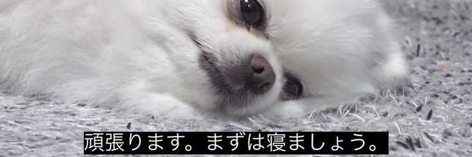 nexc_'s profile banner image