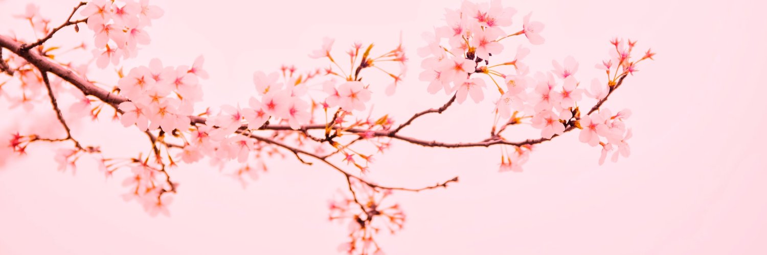 thebrittfactor C4 banner