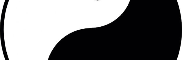 JaviTrifiro's profile banner image