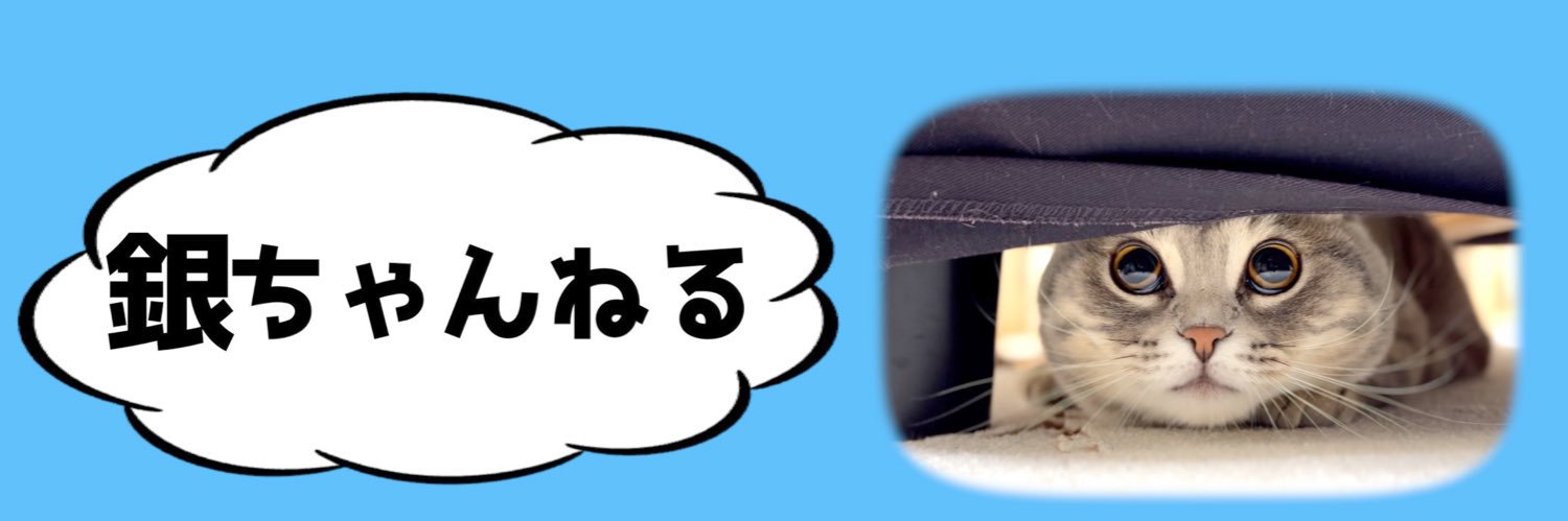 ginzi_munch's profile banner image
