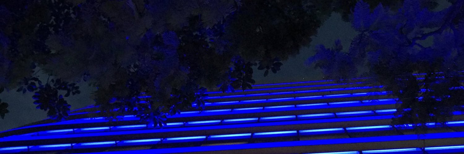 FlorVasi's profile banner image