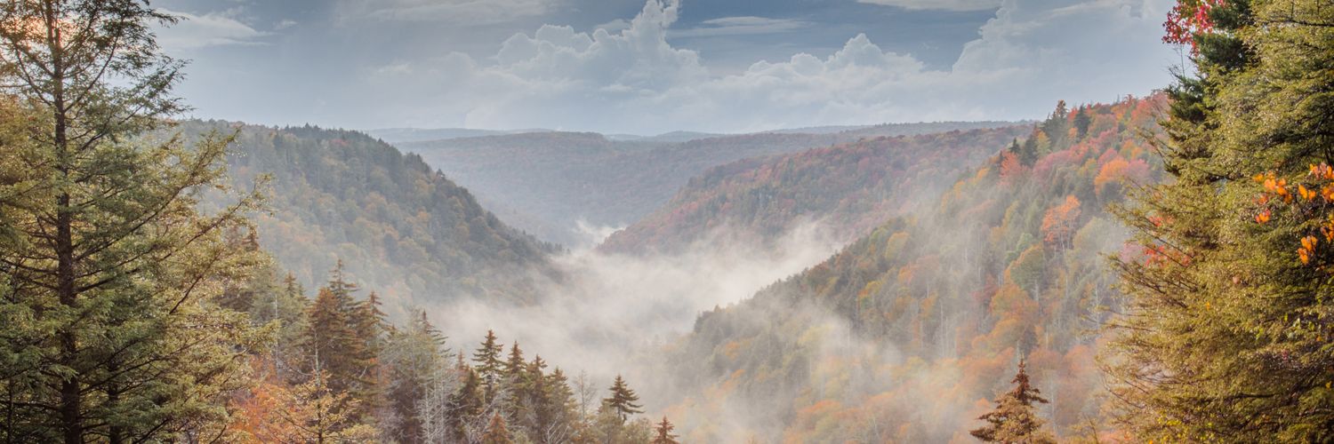Galllon's profile banner image