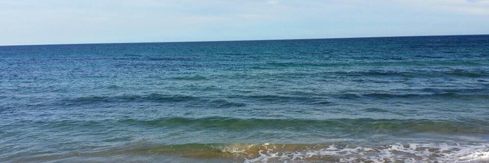 gasensi's profile banner image