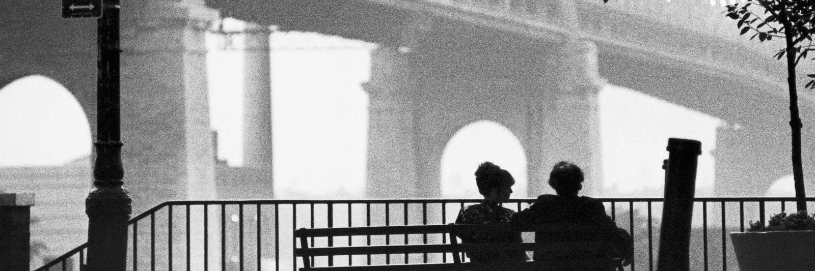 lauramado's profile banner image