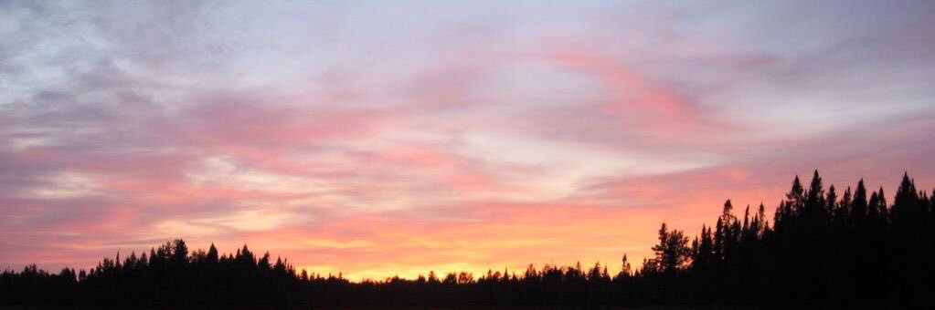 Ralphie Dampson banner